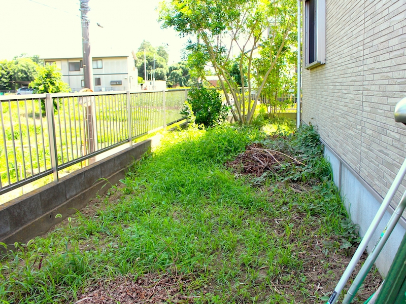空き家の庭の手入れ方法 雑草の手入れを怠るリスクと対処法 空き家活用 Net