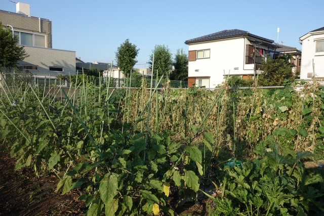 田舎の実家じまい　必要